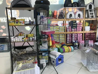 Catfish Petshop&Pet kuaför - Görsel 1