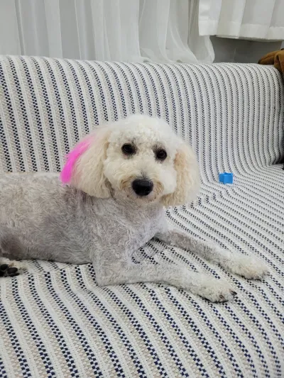 Catfish Petshop&Pet kuaför - Görsel 5