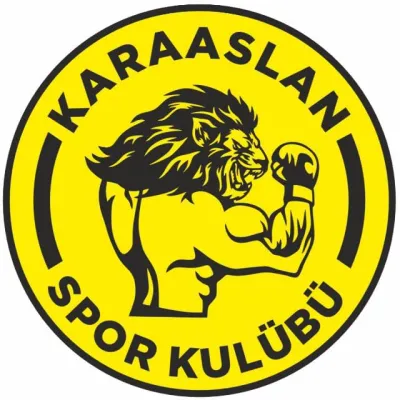 Çorlu Karaaslan Spor Kulübü - Görsel 1