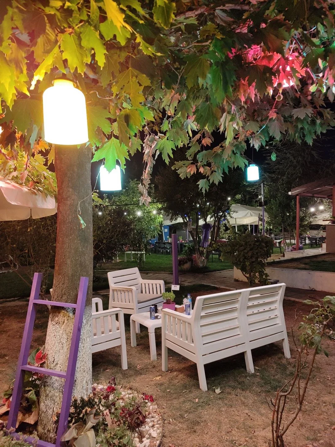 Çorlu Mor Bahçe