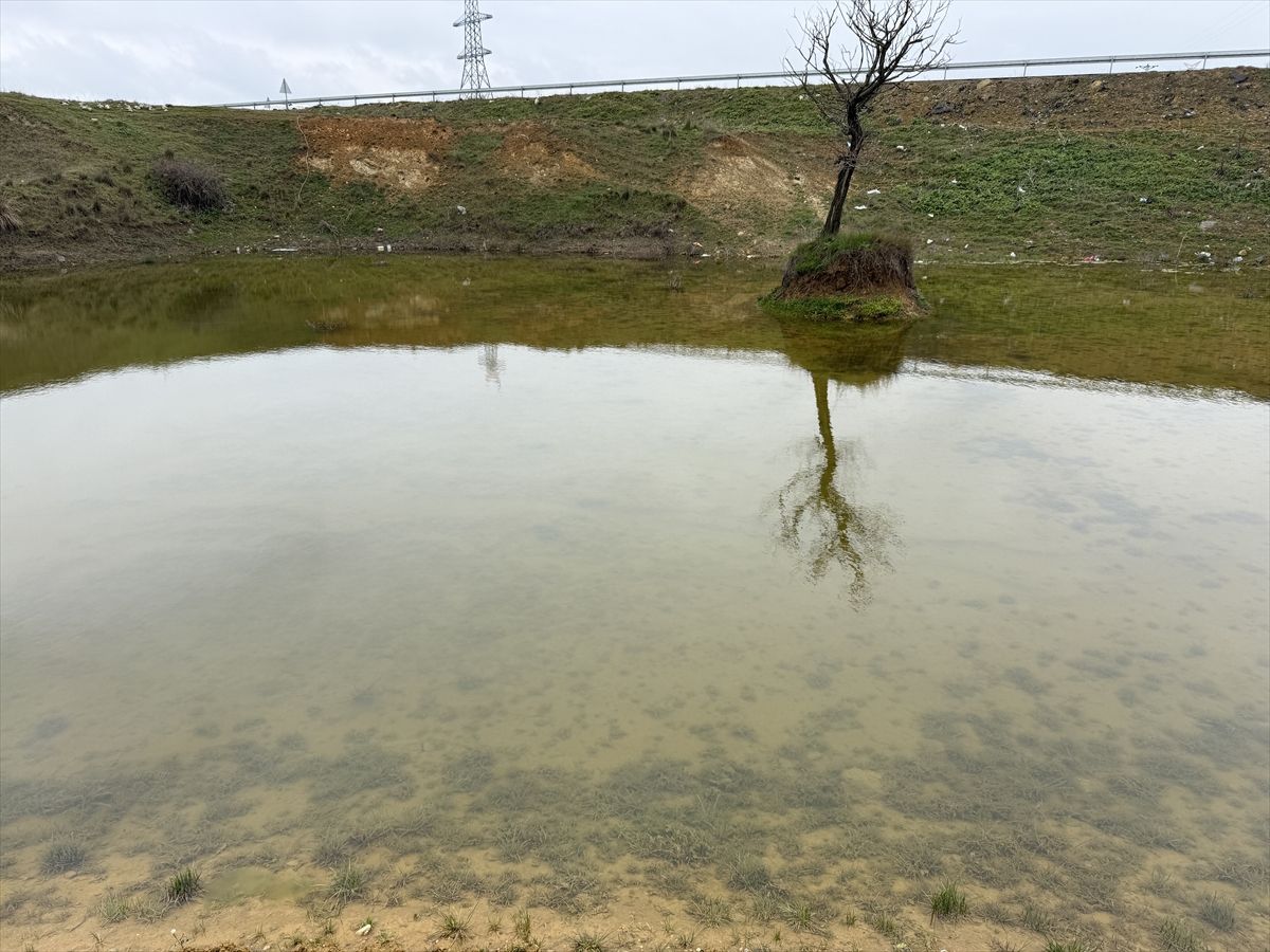 Tekirdağ'da kuruyan Çakıl Gölet'i yağışlarla yeniden doluyor