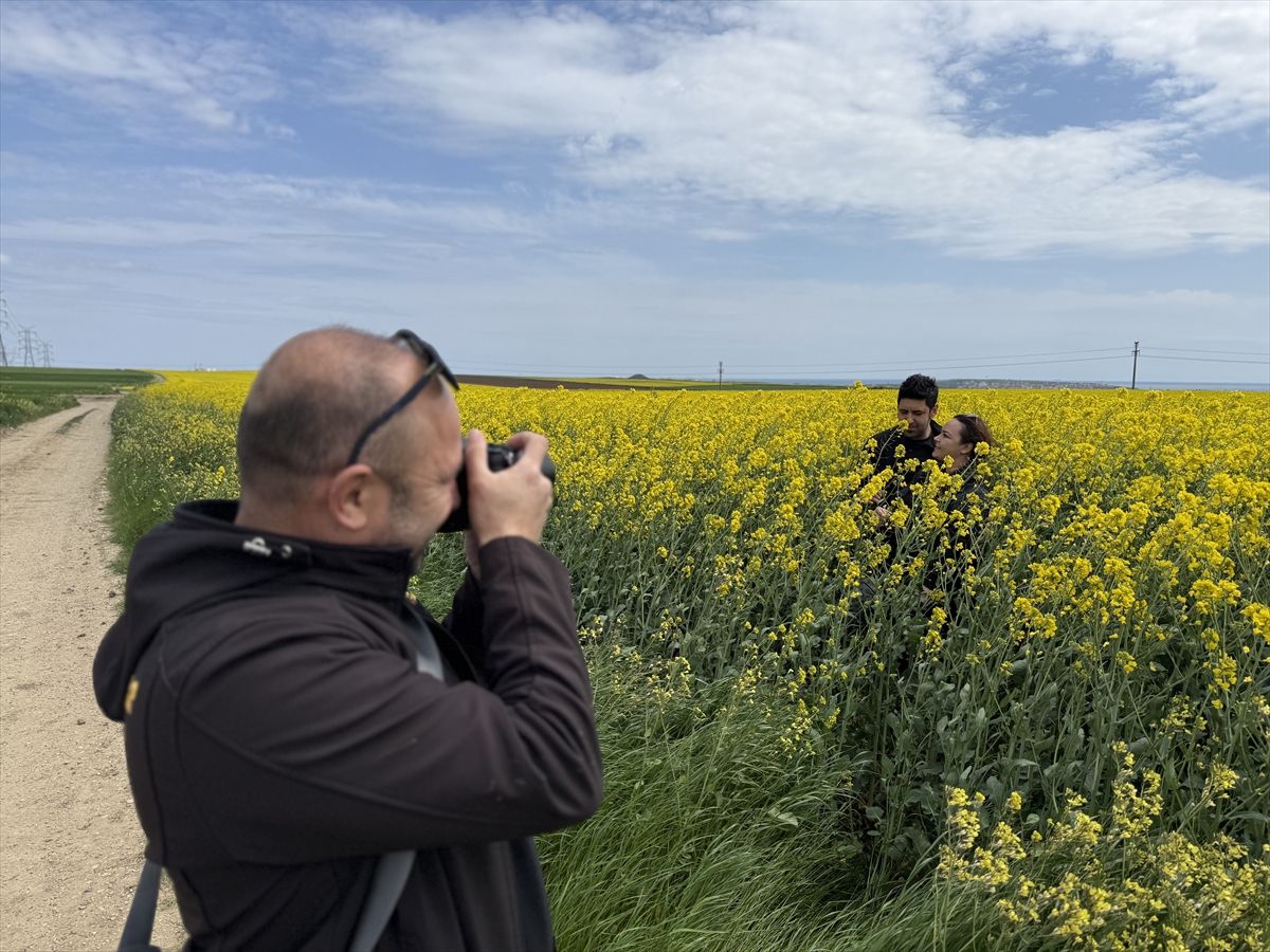 Tekirdağ'da kanola tarlasında foto safari düzenlendi