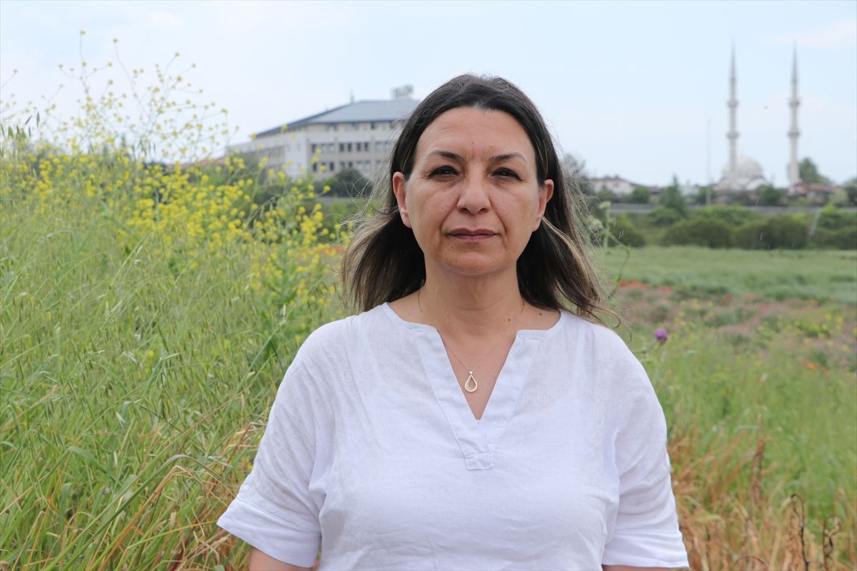 Tekirdağ'da buğday üreticilerine "sarı cücelik" hastalığı uyarısı