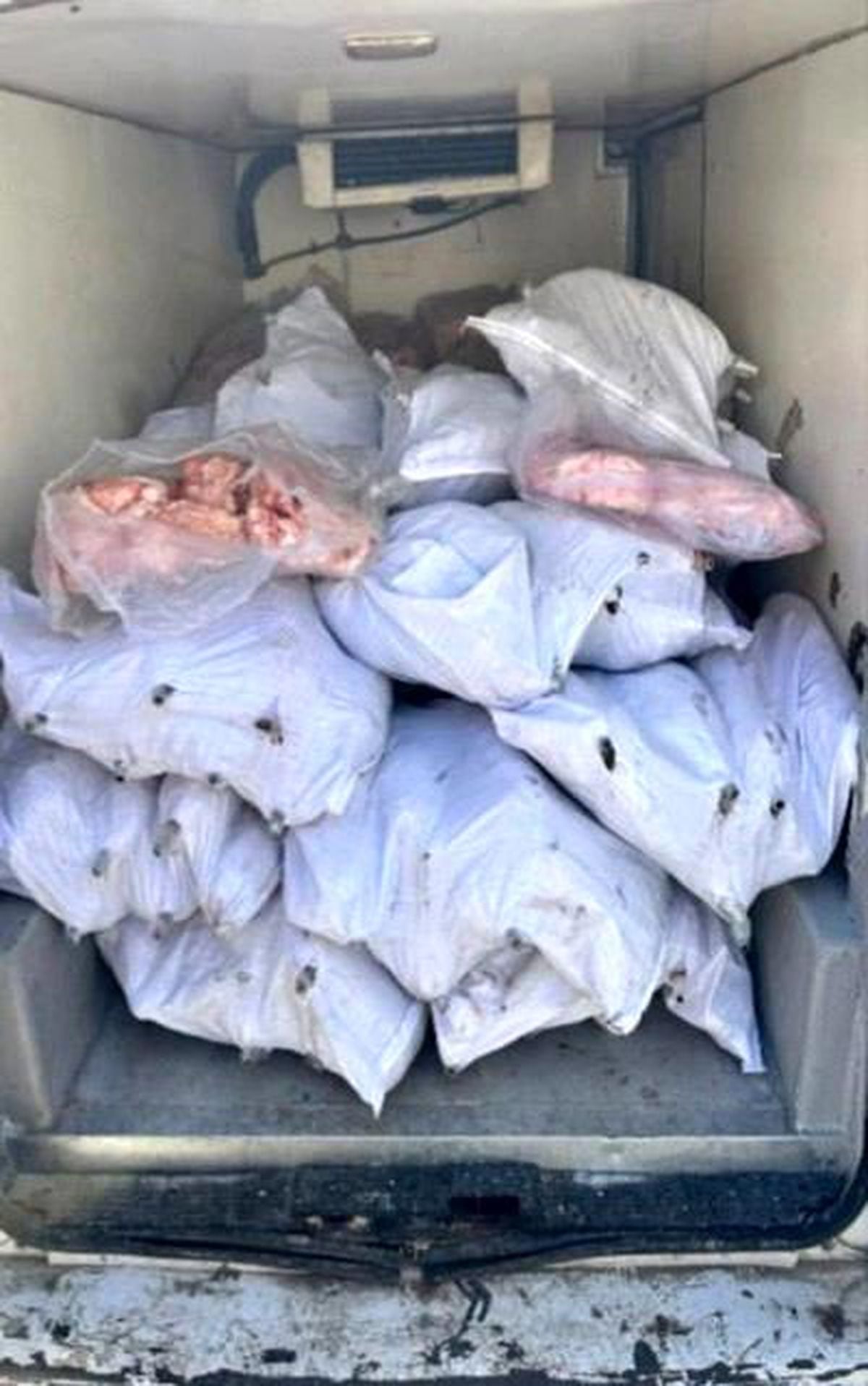 Tekirdağ'da 1,5 ton iç yağ ve 140 kokoreç imha edildi