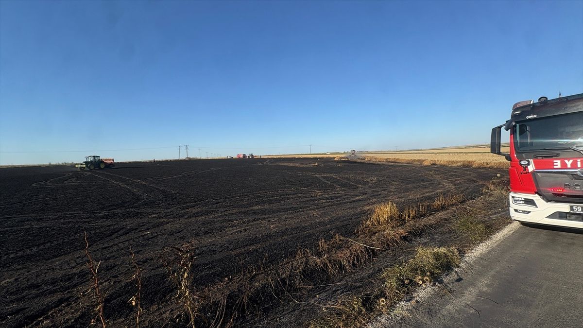 Tekirdağ'da 50 dekar tarım arazisi yangında zarar gördü