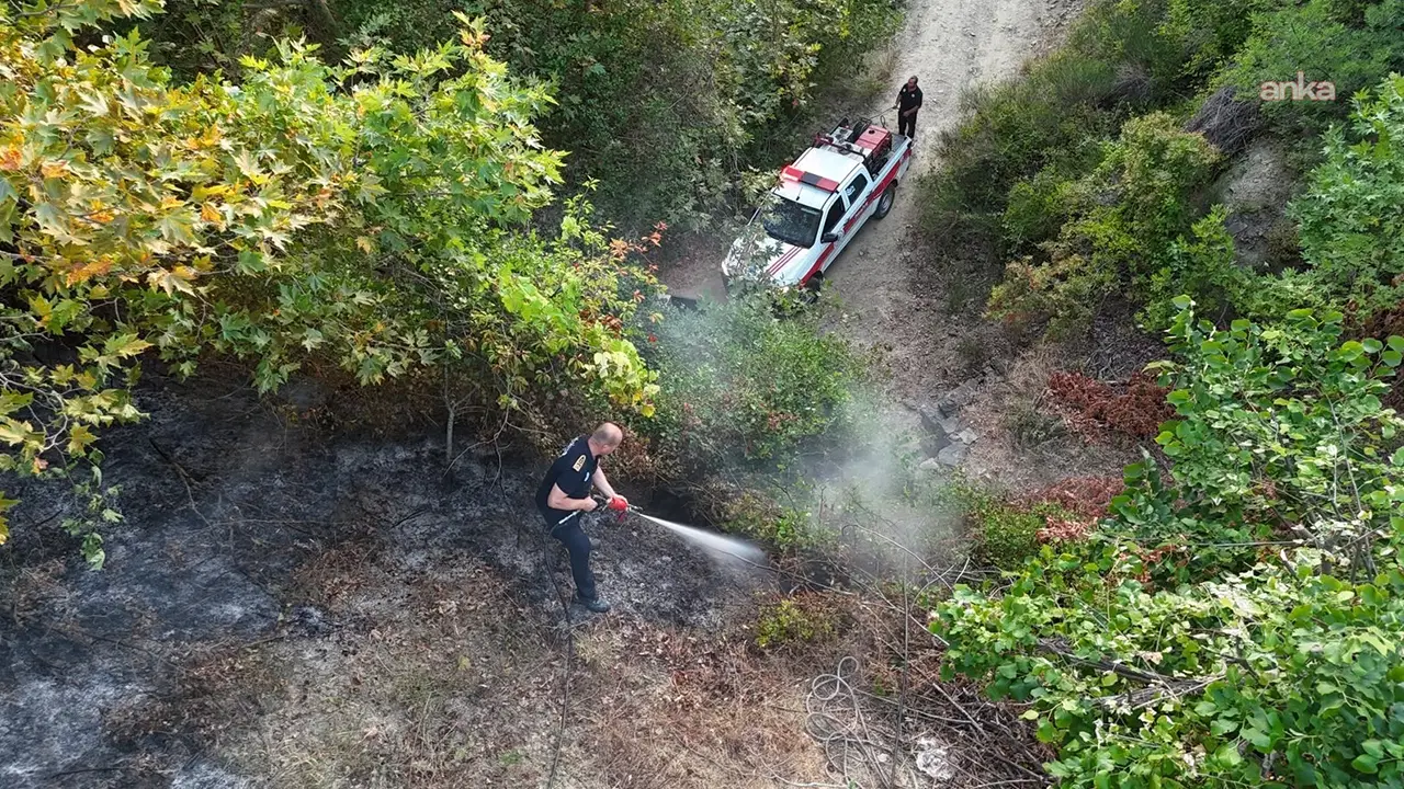 Tekirdağ Malkara'da orman yangını: 3 saatte kontrol altına alındı